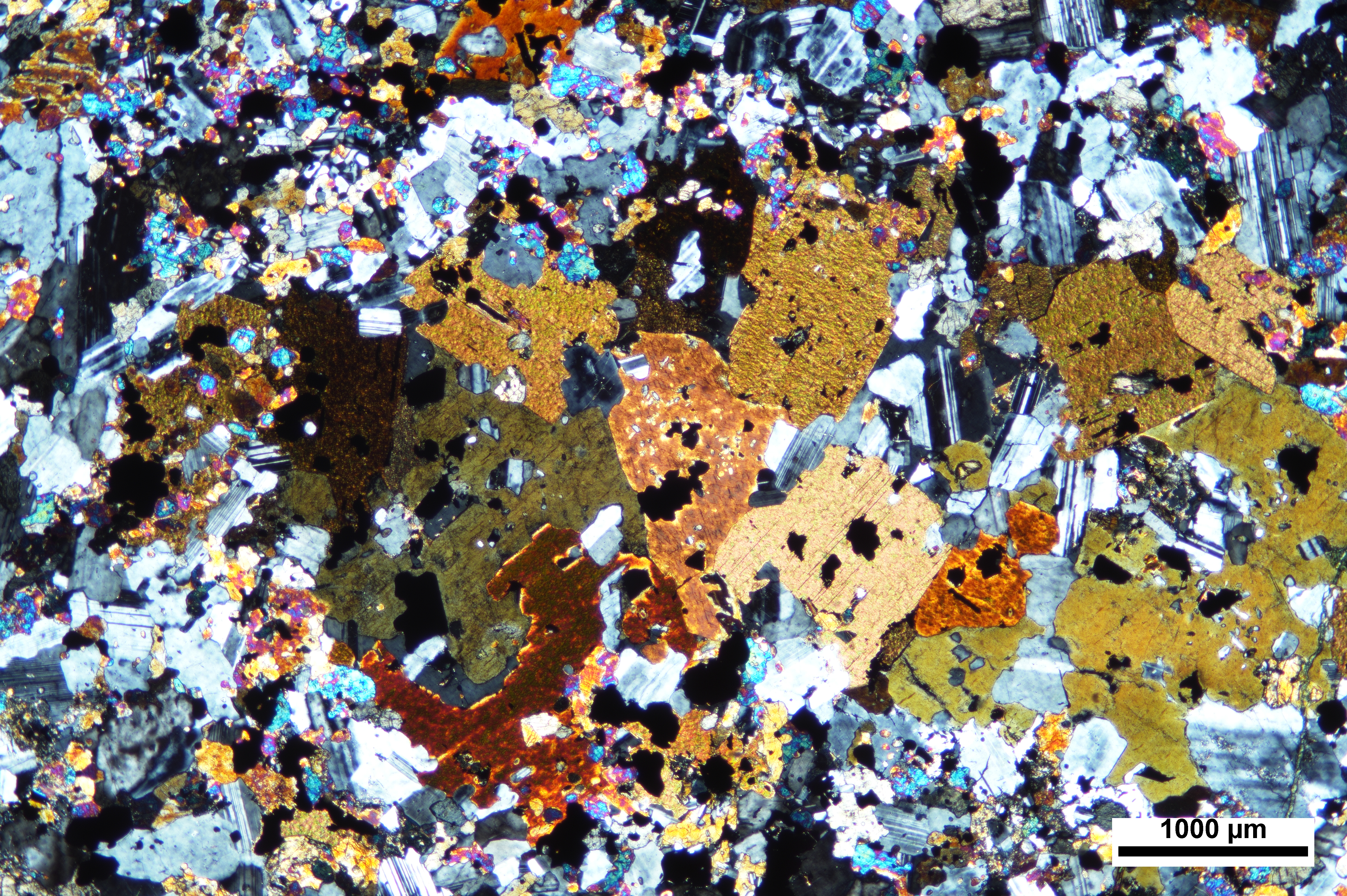 Hornblende and Plagioclase